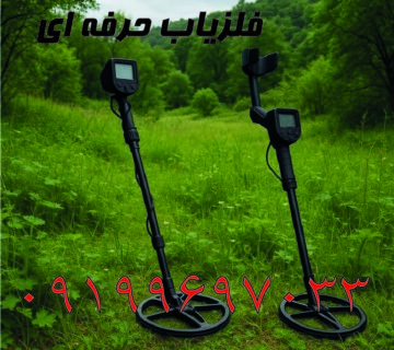 فلزیاب حرفه ای