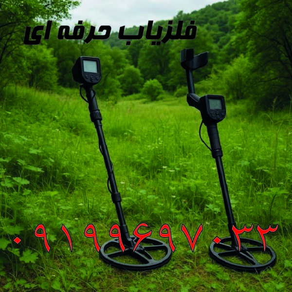 فلزیاب حرفه ای فلزیاب حرفه ای