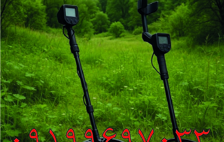 فلزیاب حرفه ای