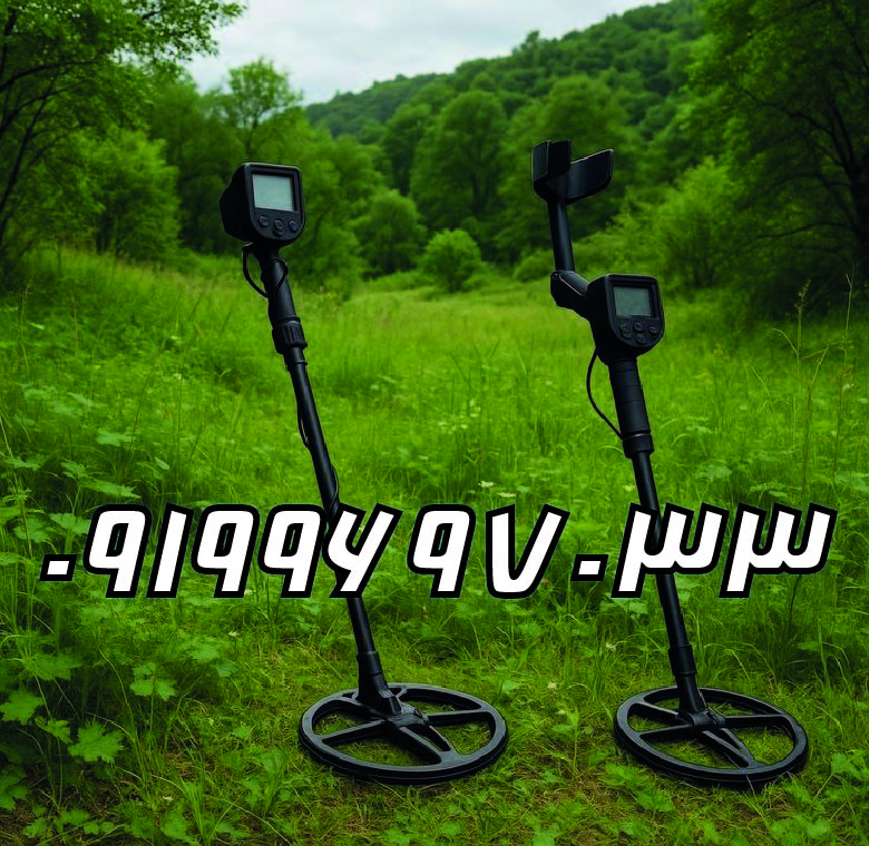 فلزیاب حرفه ای